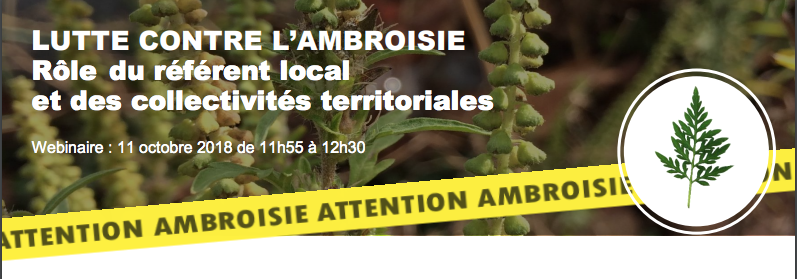 Photo de Lutte contre l'ambroisie : Rôle du référent local et des collectivités territoriales